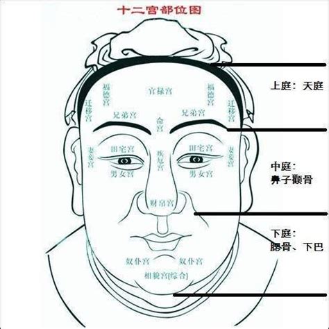 60歲面相|【面相年紀】面相年紀大解密！觀相知人，部位流年相。